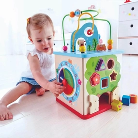 Hape Nature Exploration Play Cube