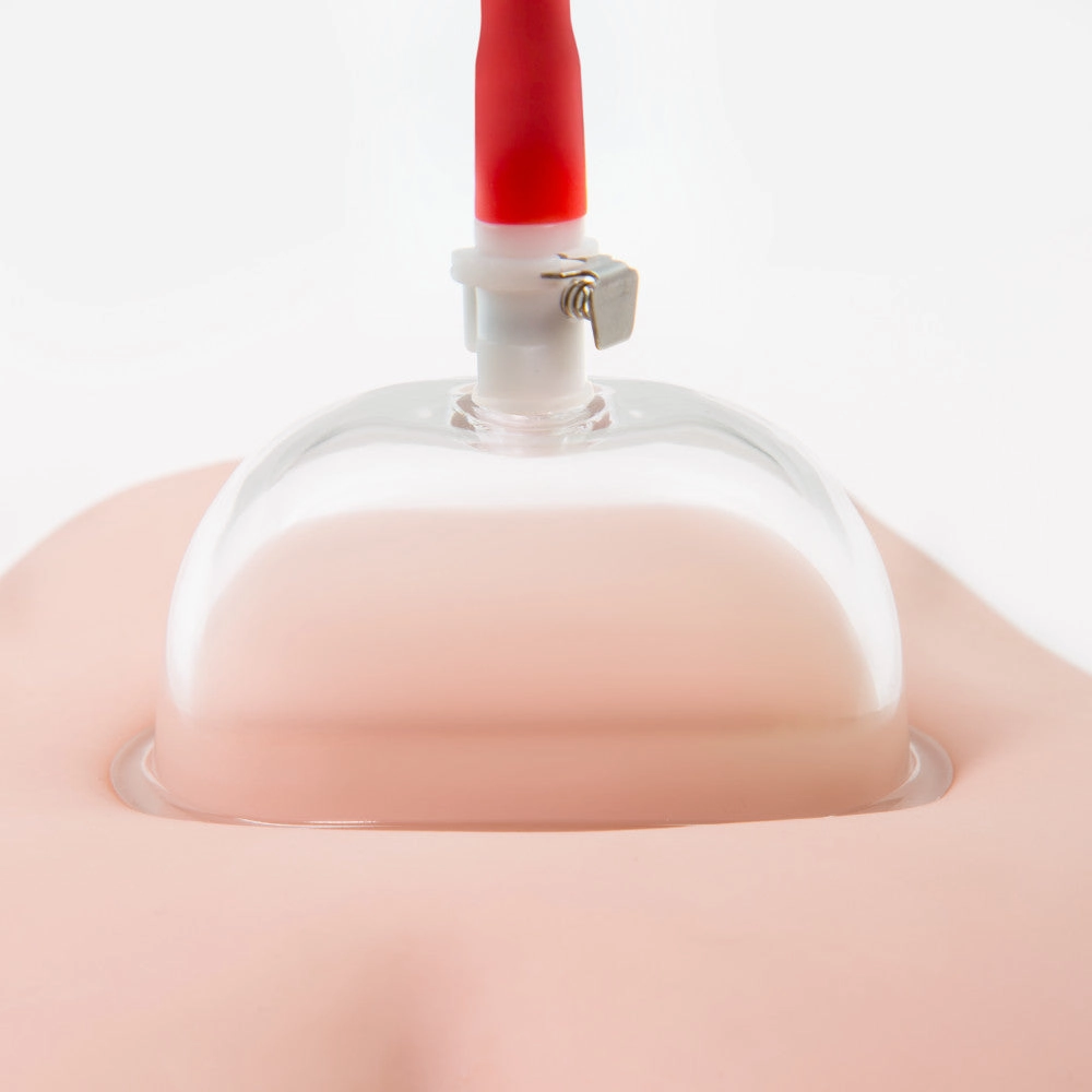 Temptasia By Blush® | Vulva Cup Clear Pump